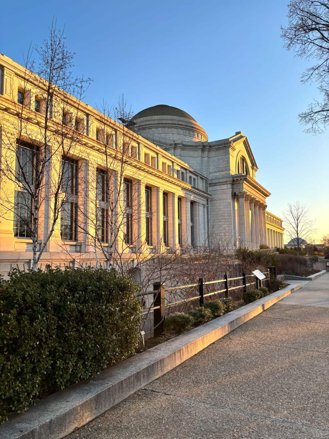 The National Museum of Natural History