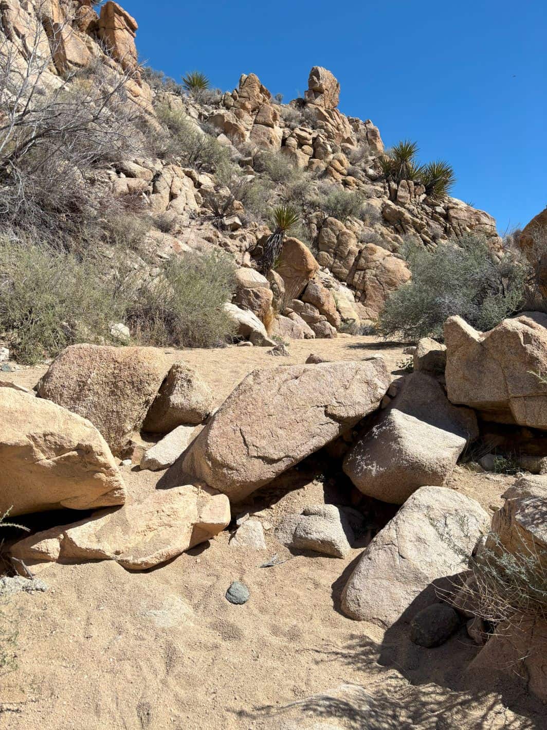 The incredible boulders along our hike. 