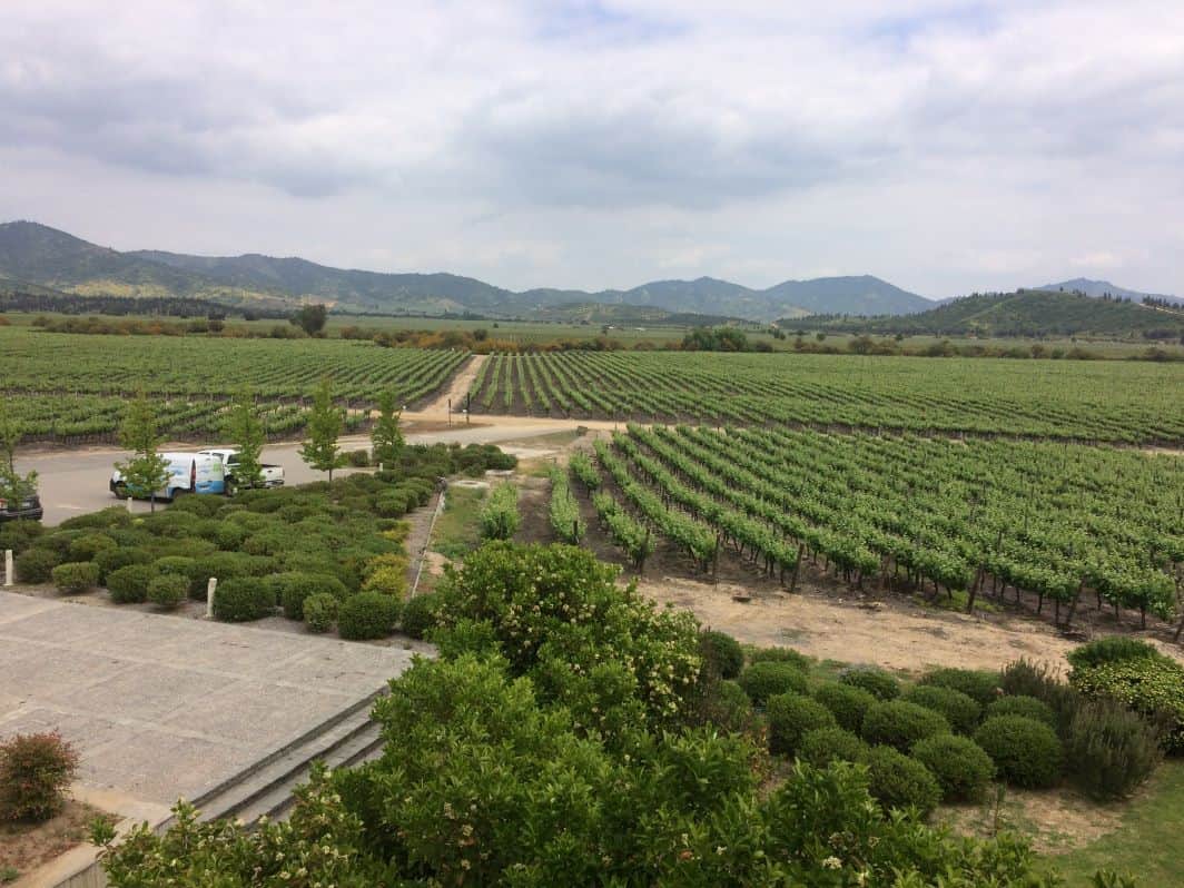 Las Terrazas Vineyard in the Leyda Valley