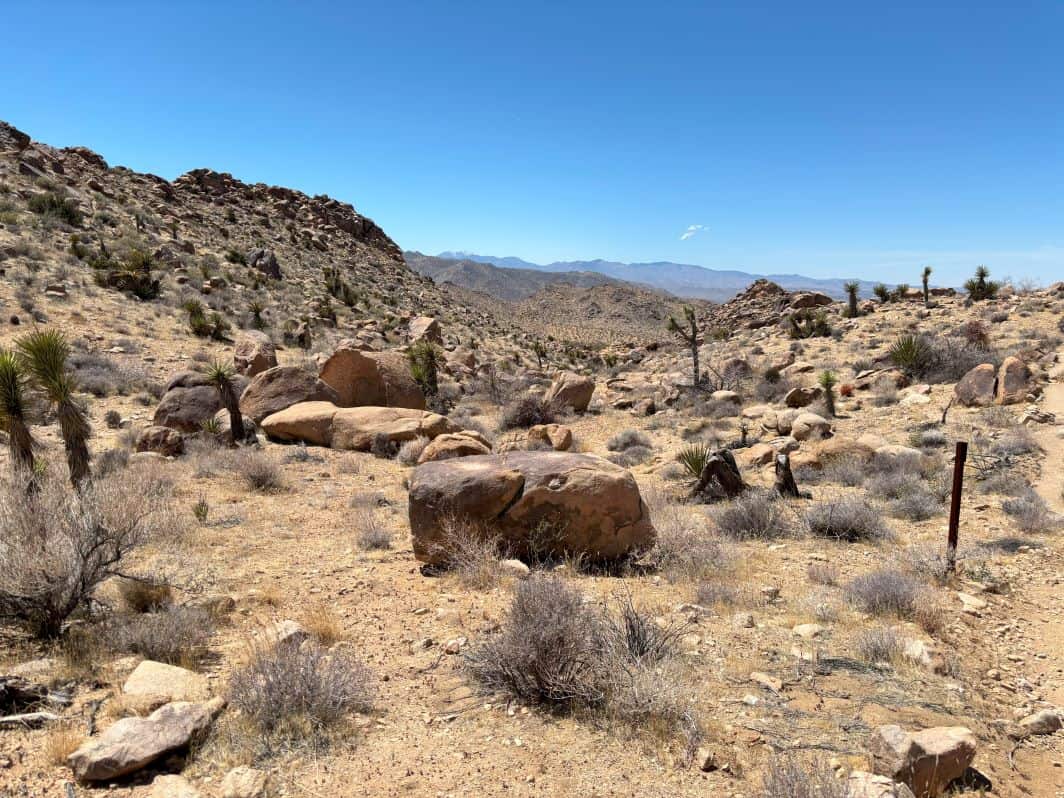 The expansive view on our Maze Loop Trail Hike. 