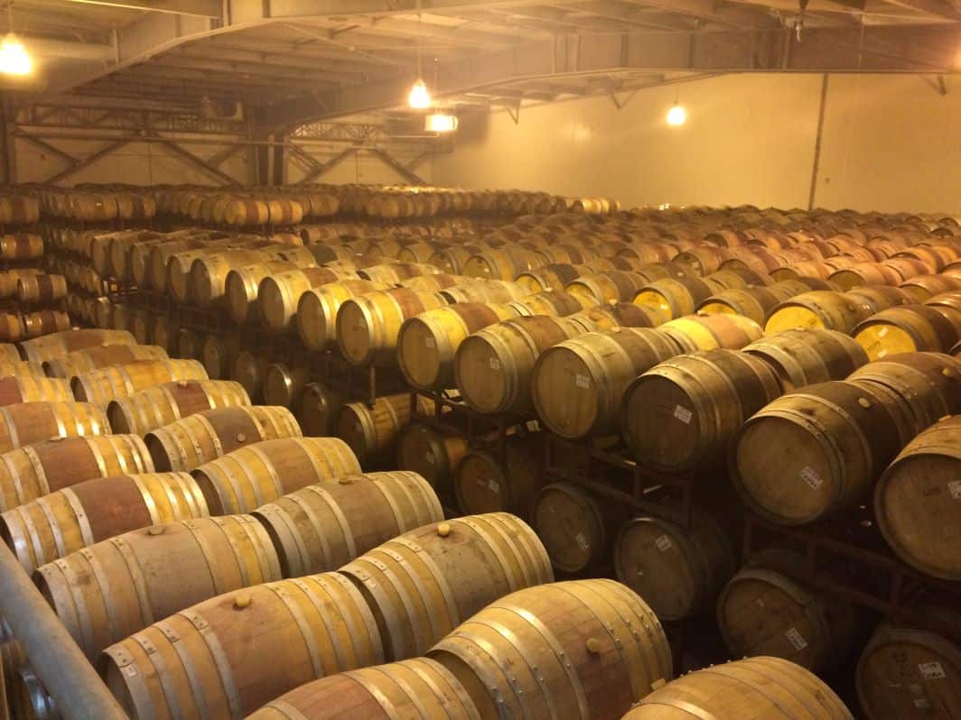 The barrels lined up at Las Terrazas Vineyard.