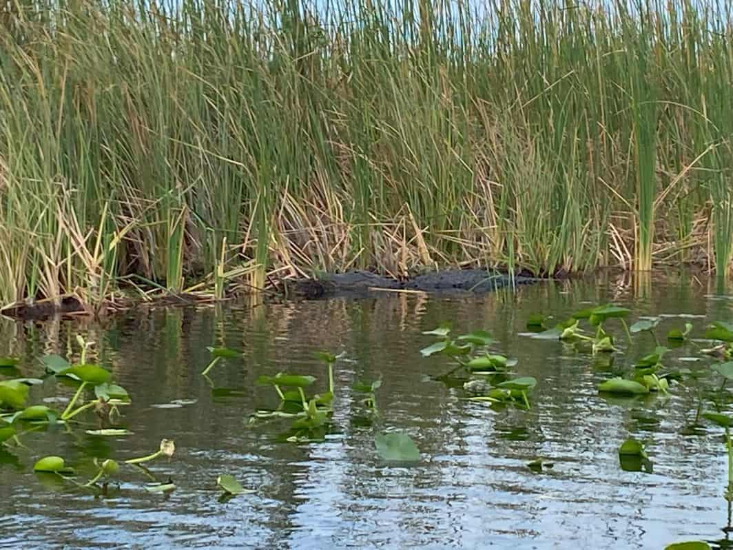 Everglades National Park