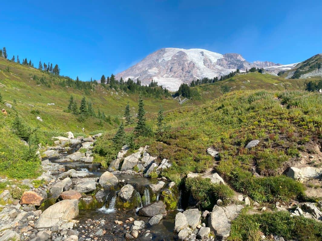 Mount Rainier National Park