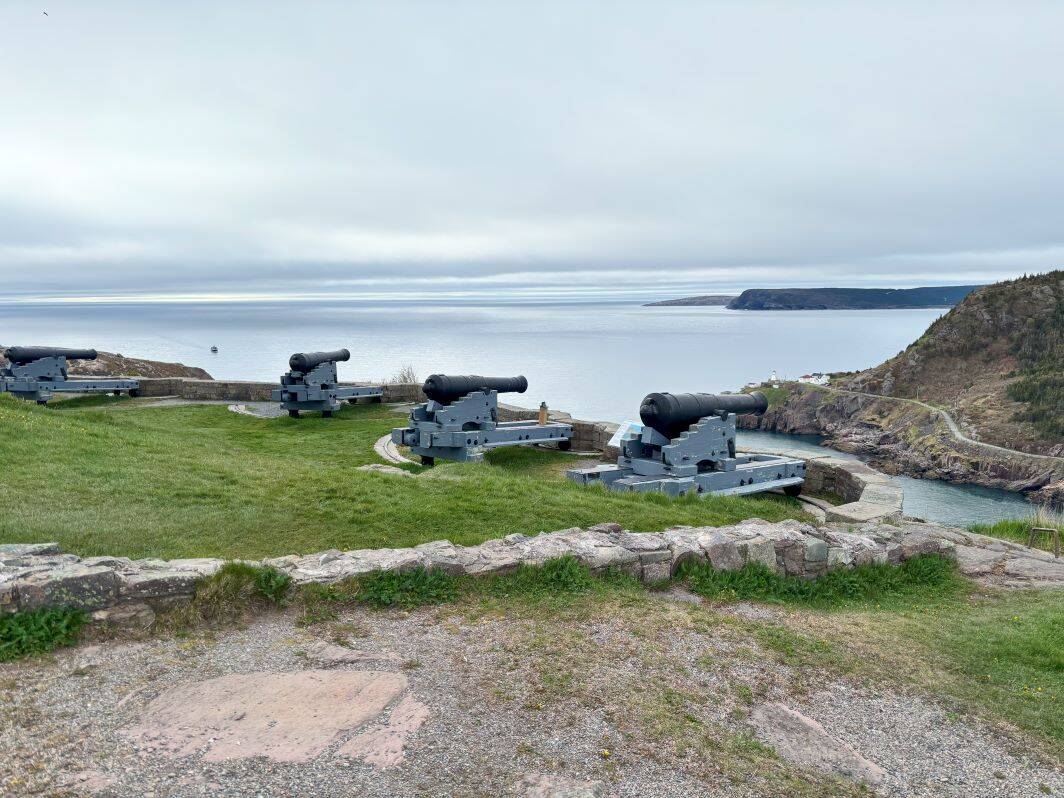 Historic Cannons on Signal Hill