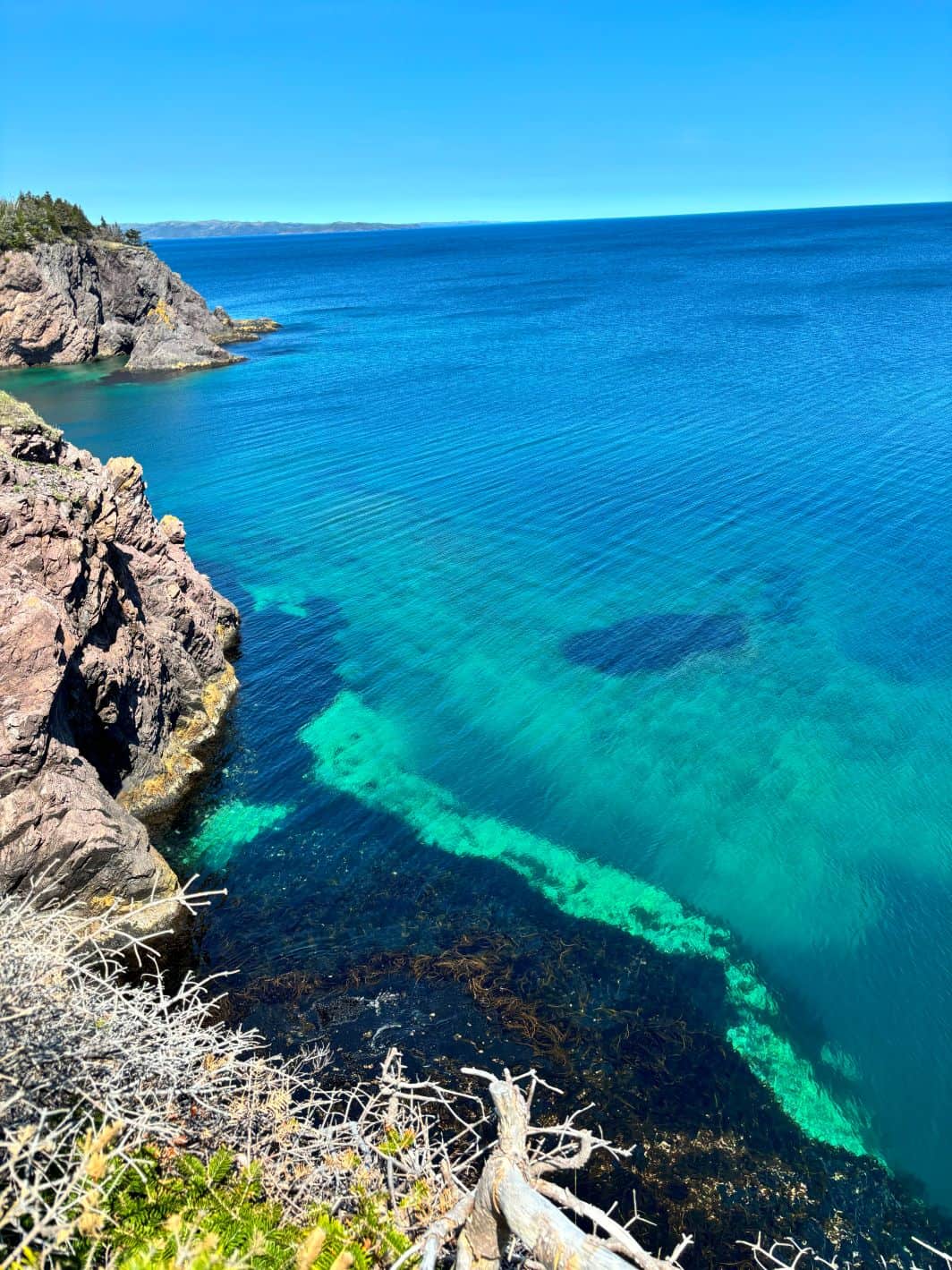 Chance Cove Coastal Trail