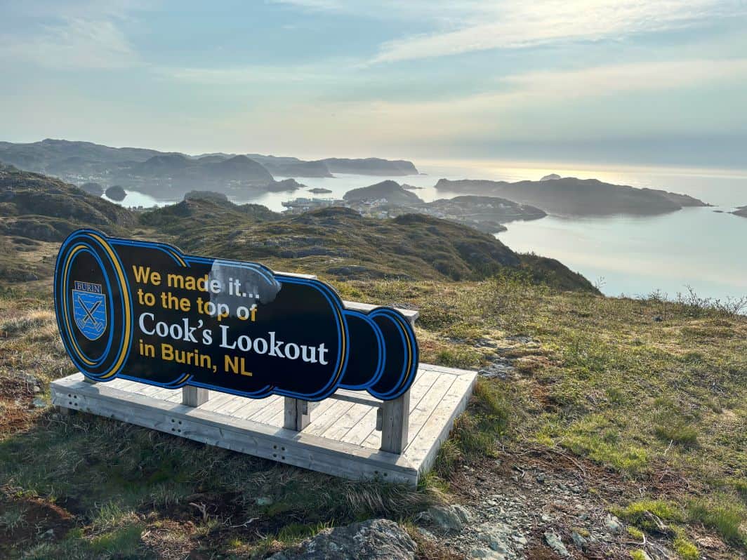 View at the top of Cook's Lookout
