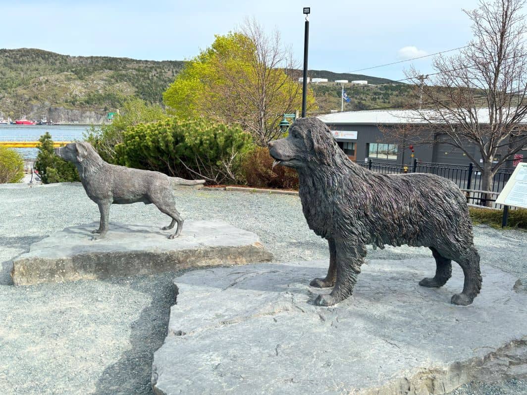 Newfoundland and Labrador Dog statues in Harbourside Park.