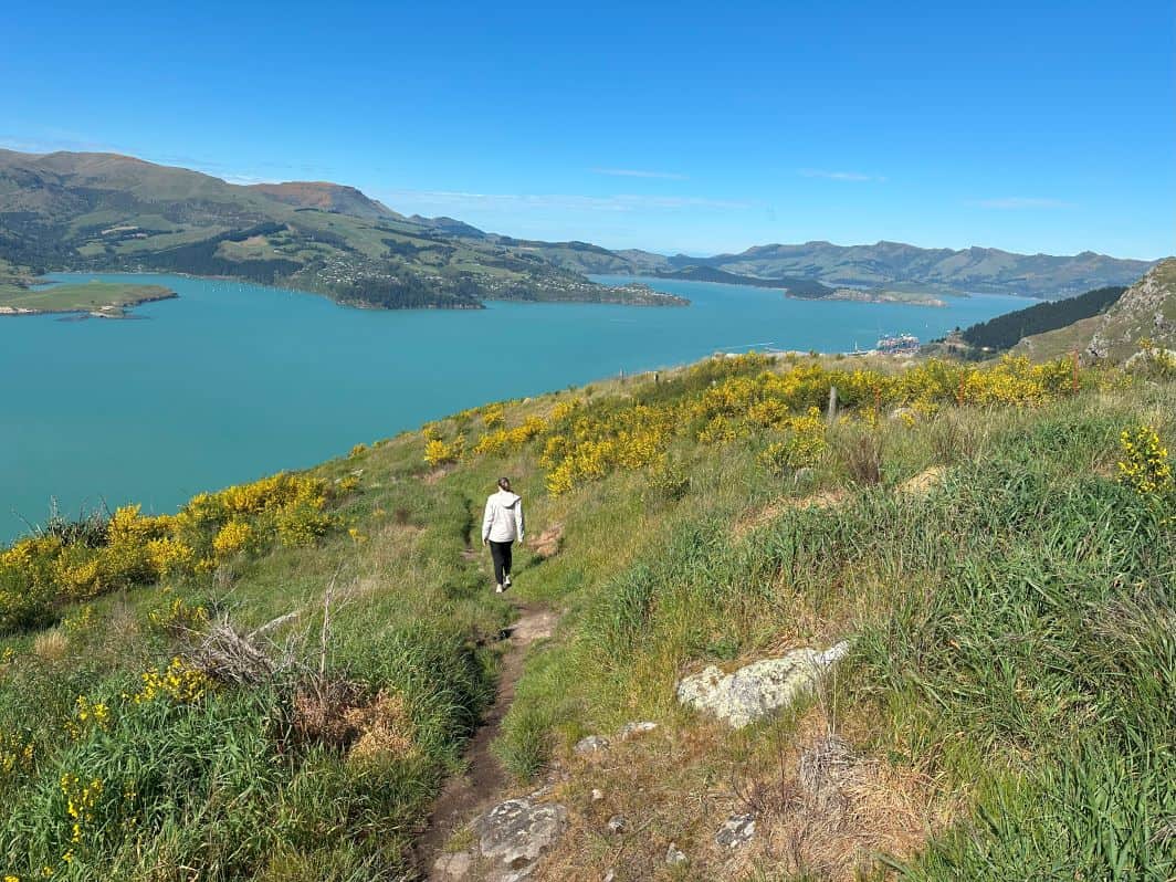 The Crater Rim to Godley Head Hike