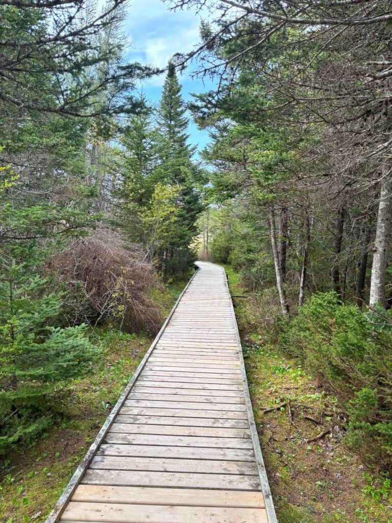 The trail at the Landing Place Pond Walking Trail