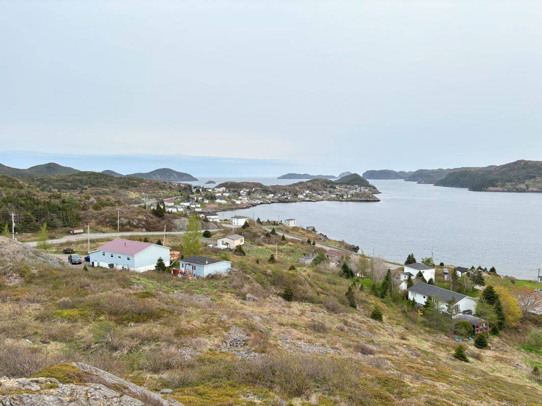 View from Jerry Cheeseman's Lookout Trail