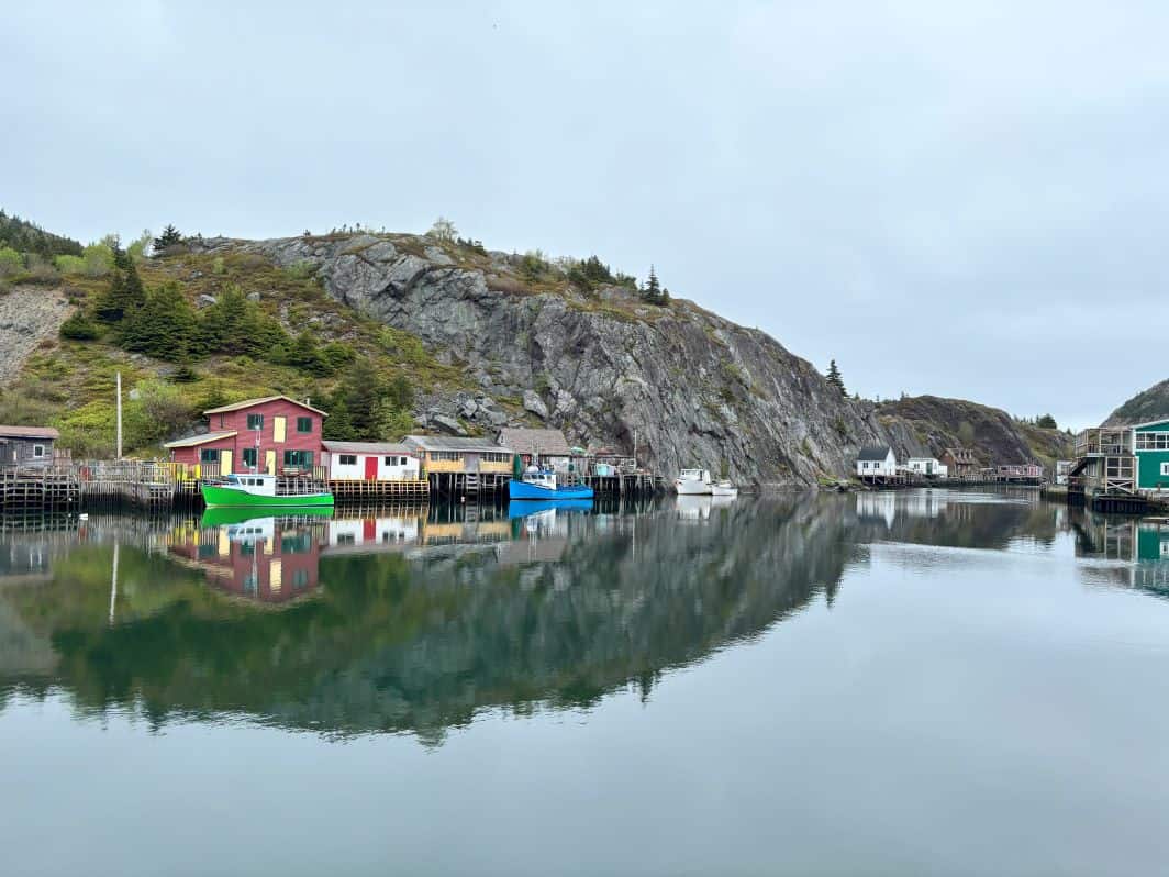 Quidi Vidi