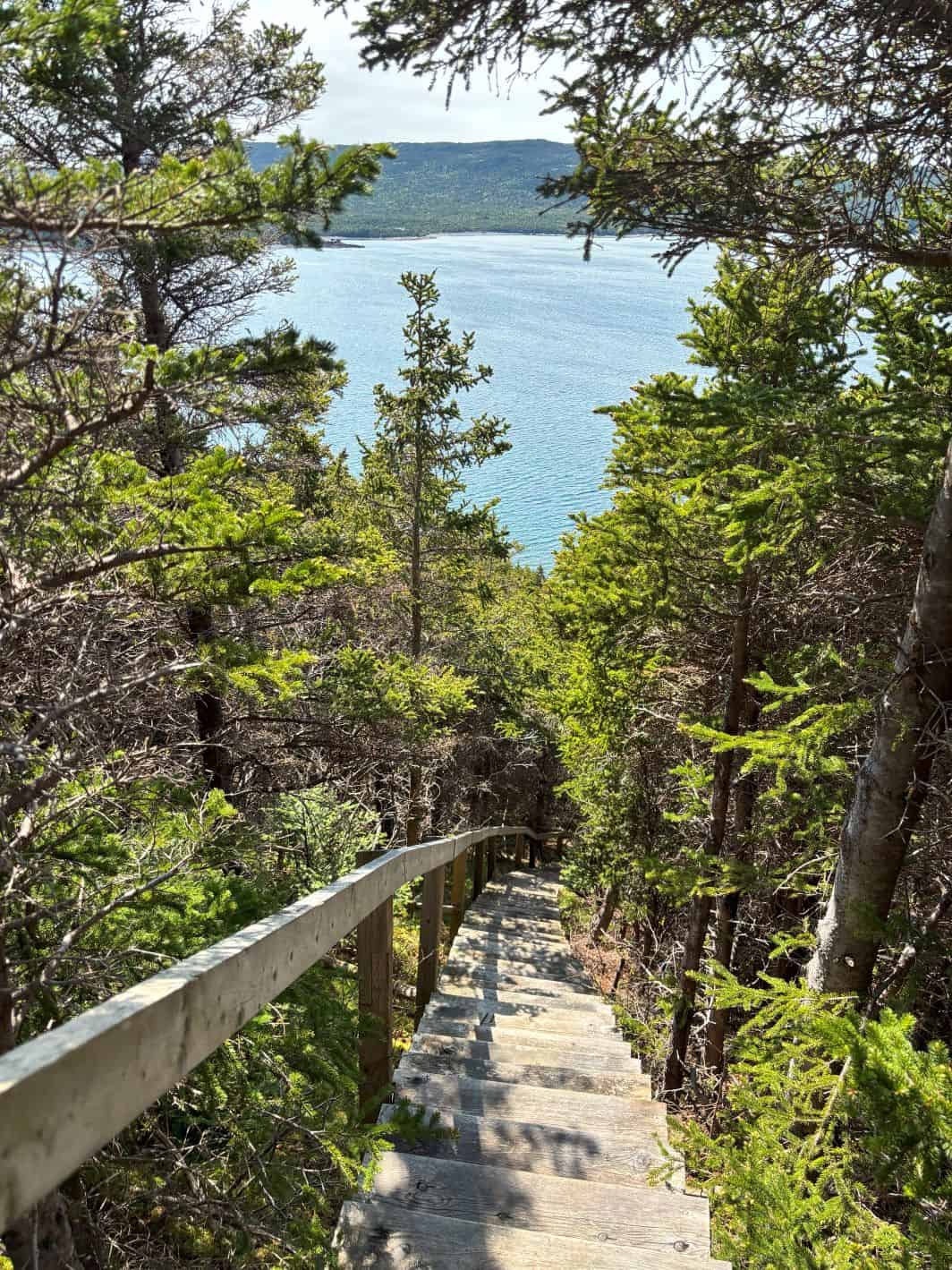 The dedication to maintaining the trails. 