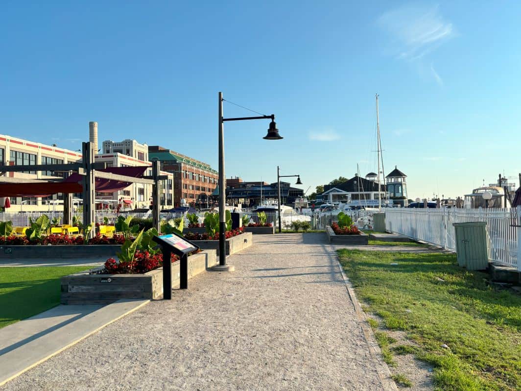 The Waterfront