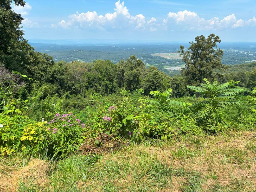 Scenic overlook