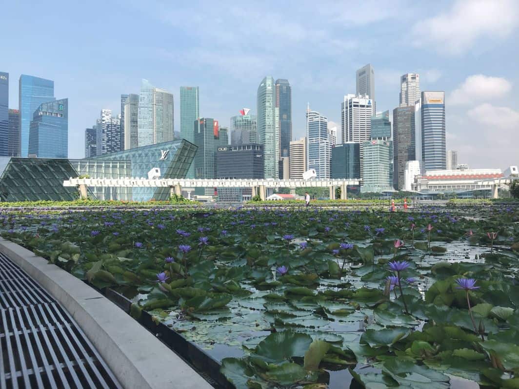 View of the Singapore Skyline