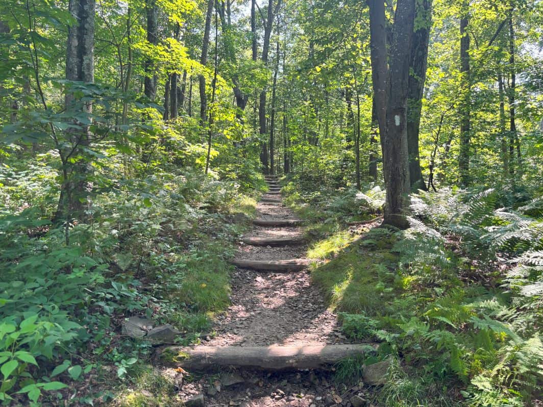 The steps leading up