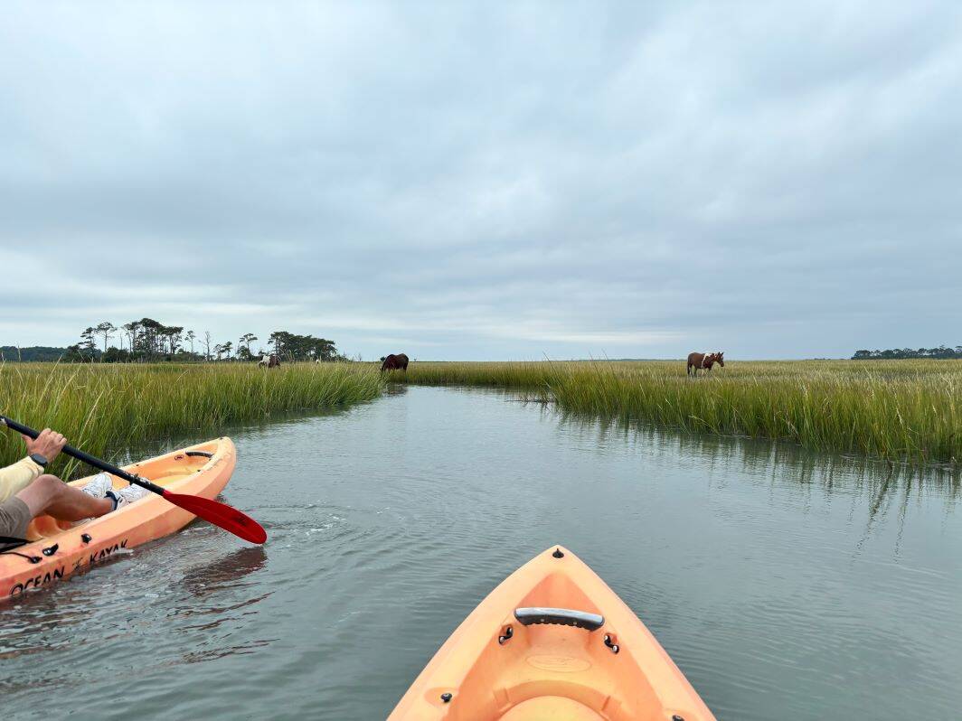 Kayaking in Chincoteague National Wildlife Refuge