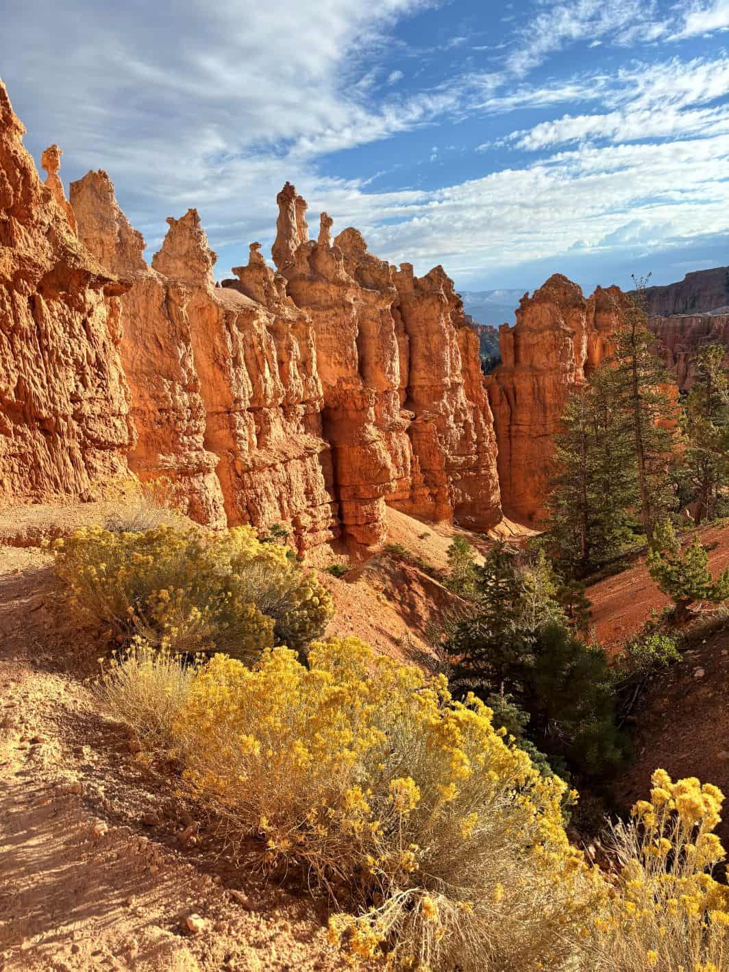 The fall colors in Bryce