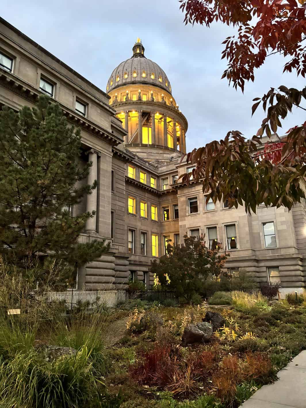 Water-Efficient Garden