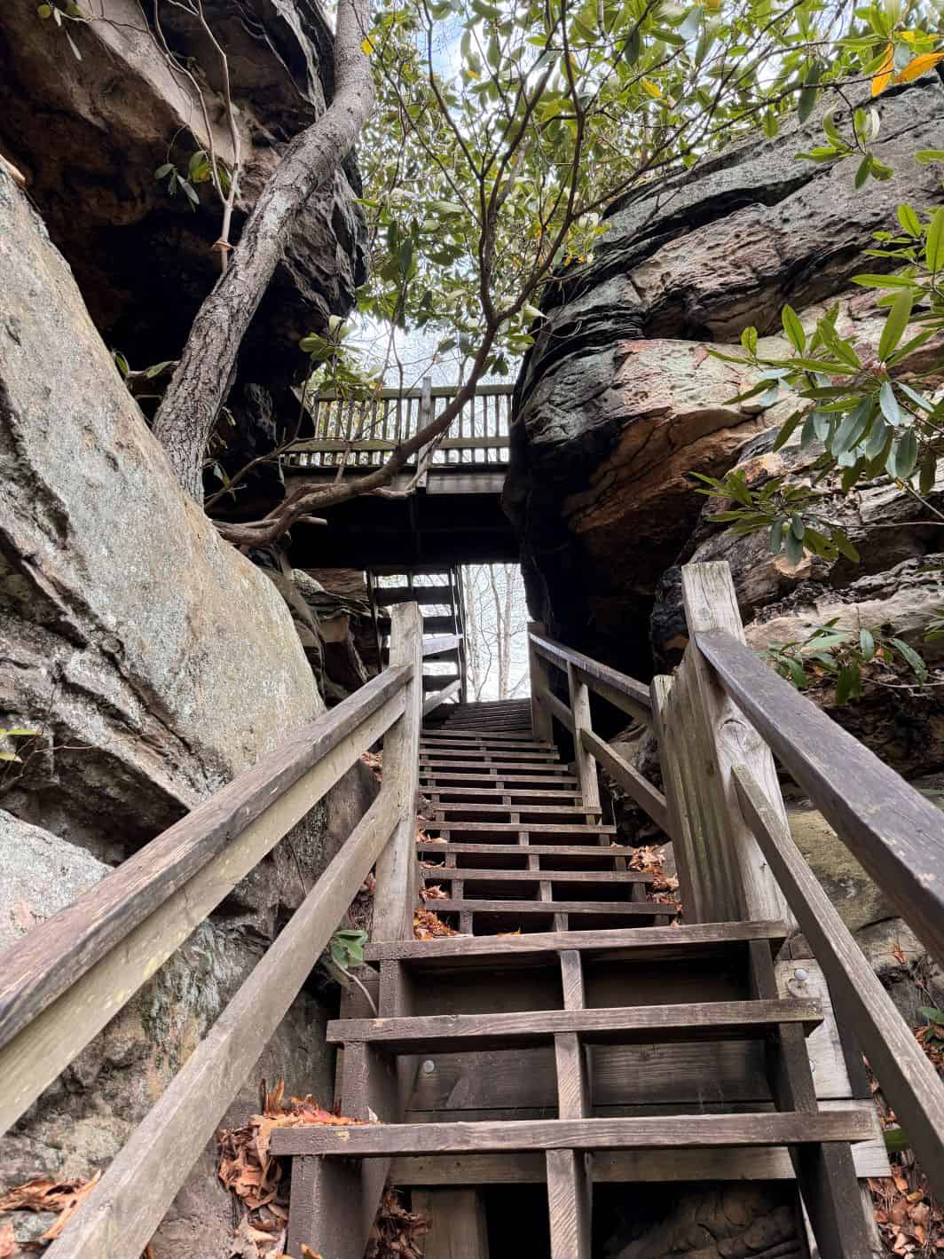 Stairs to Turkey Spur Lookout