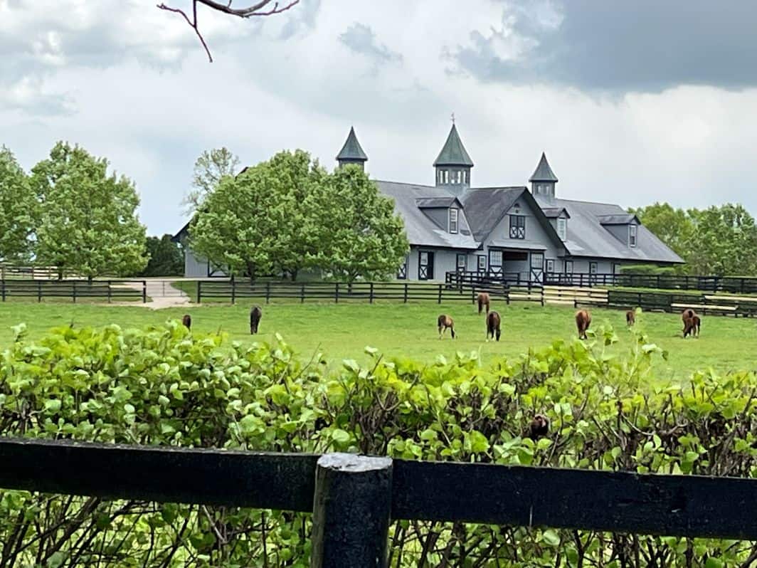 Horse Farm Outside of Frankfort