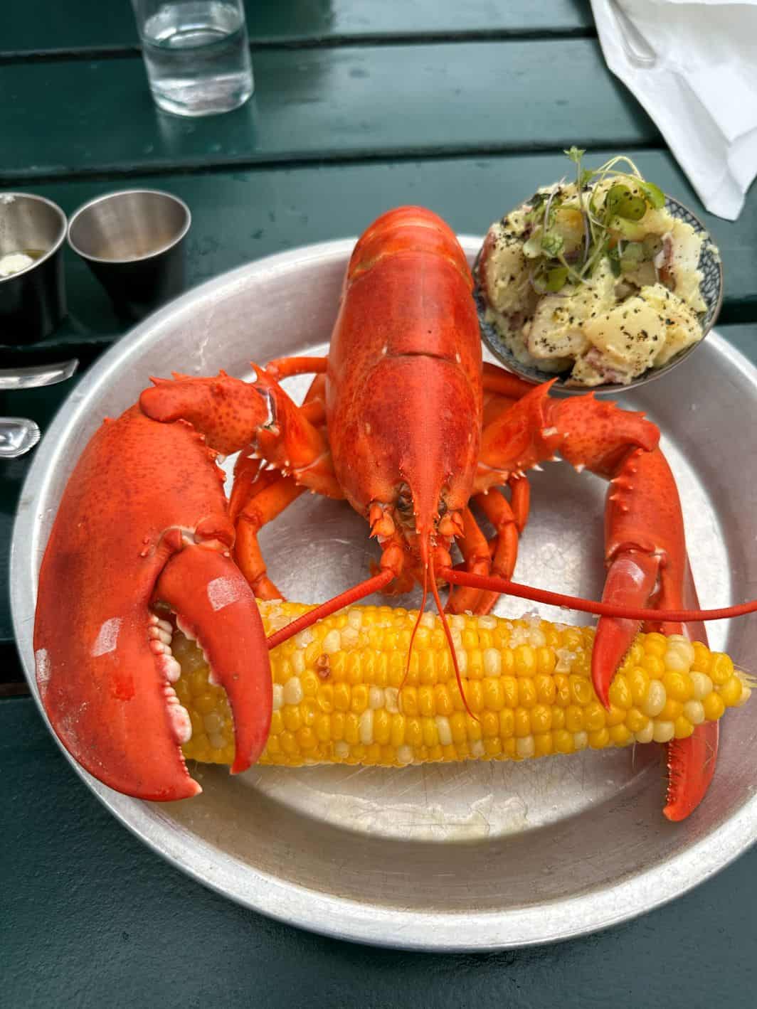 Lobster