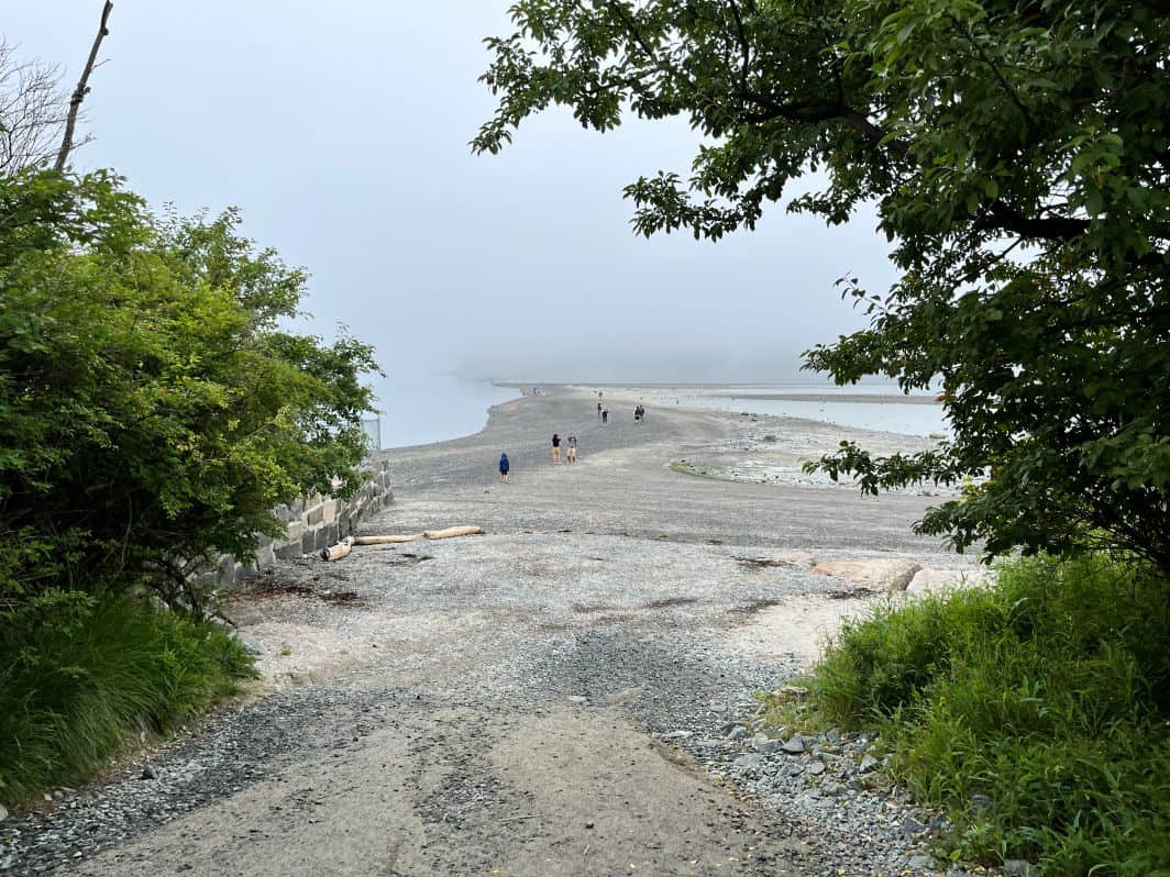 Bar Island Trail at low tide