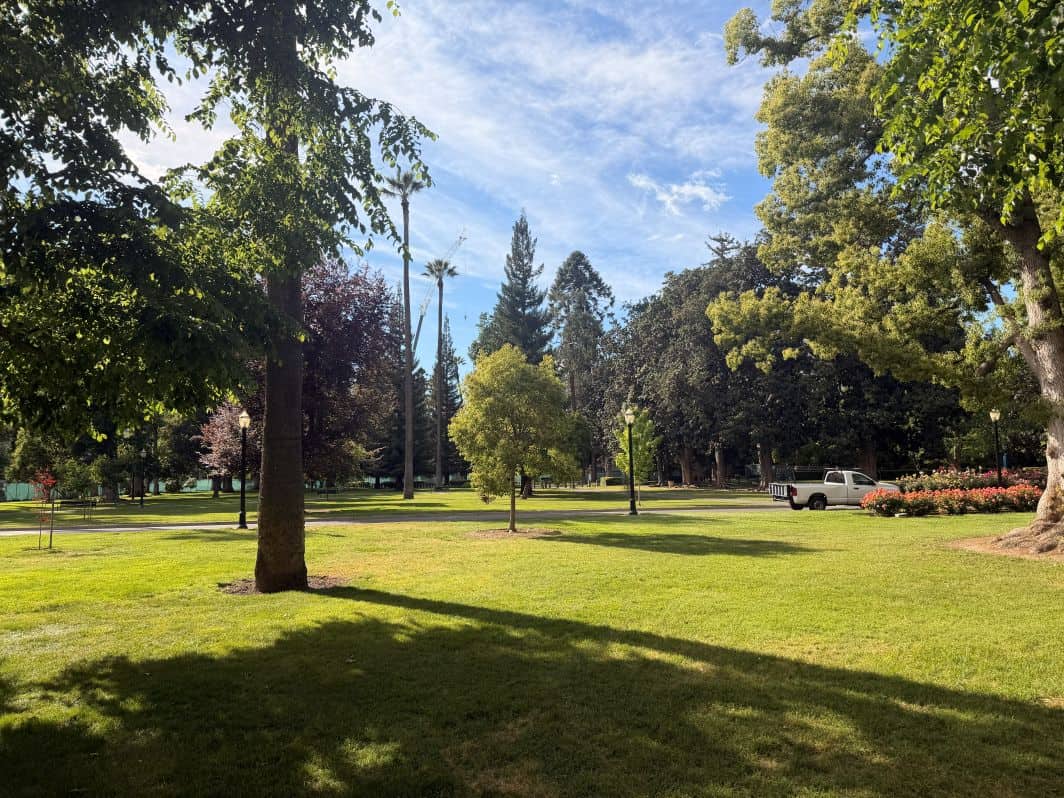 450 Varieties of trees 