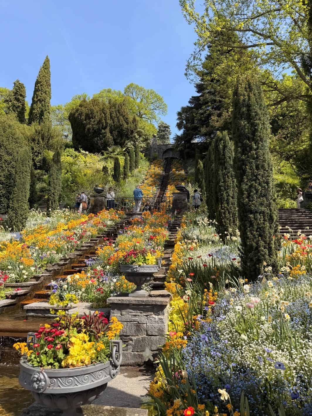 The Flowers 