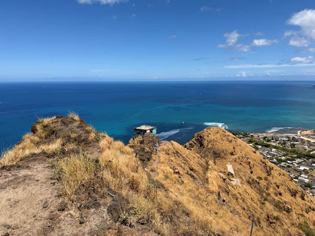 The pillboxes