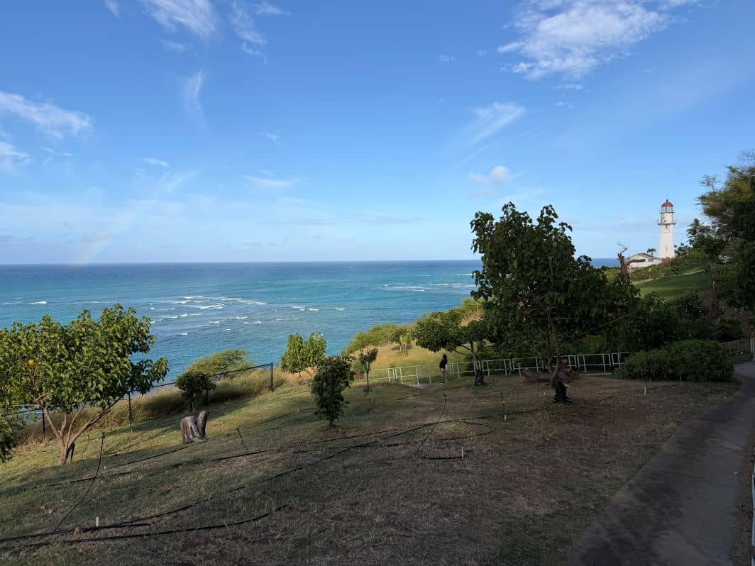 Diamond Head Beach Trail