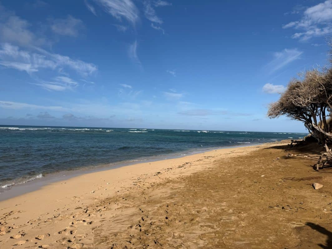 Diamond Head Beach