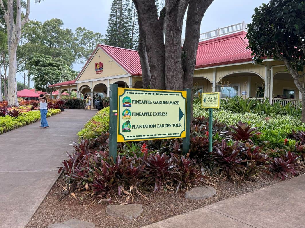 The Dole Plantation