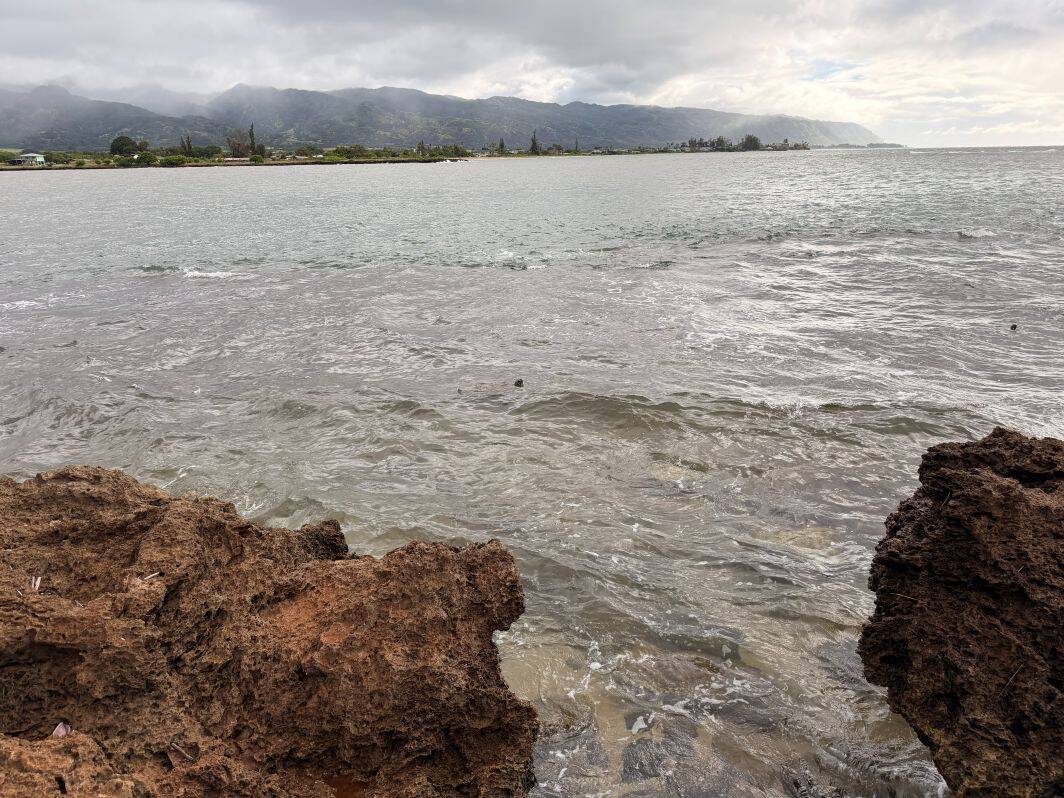 Kaiaka Bay Trail and a glimpse of a turtle head.
