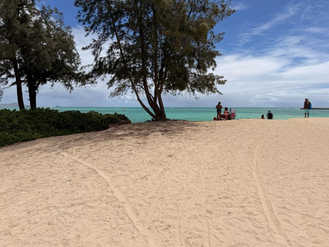 Kailua Beach Park Trail