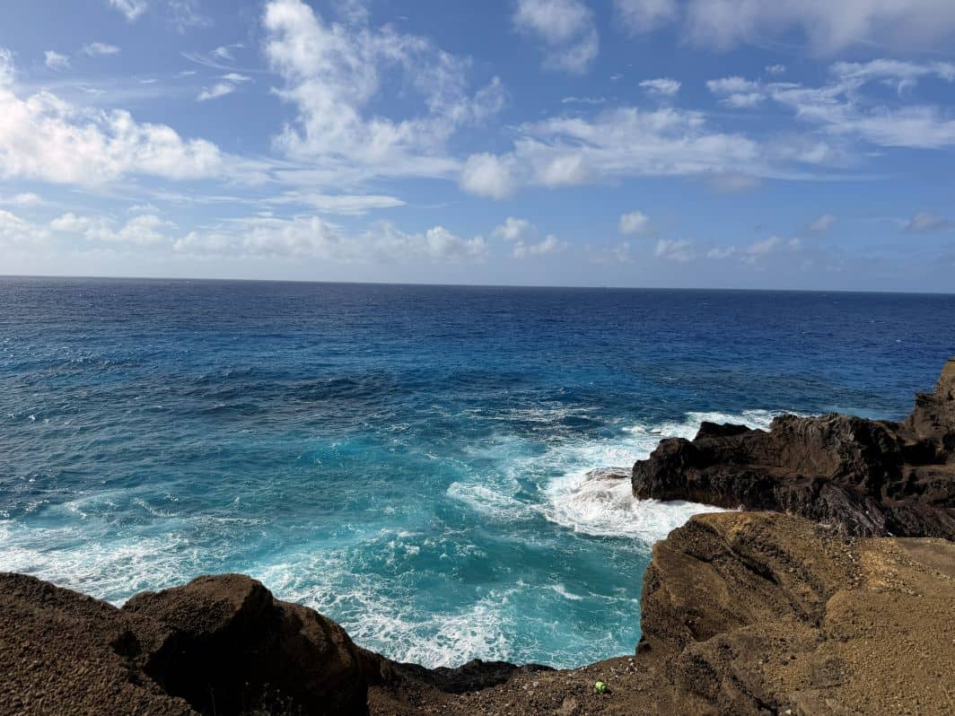 Koko head District