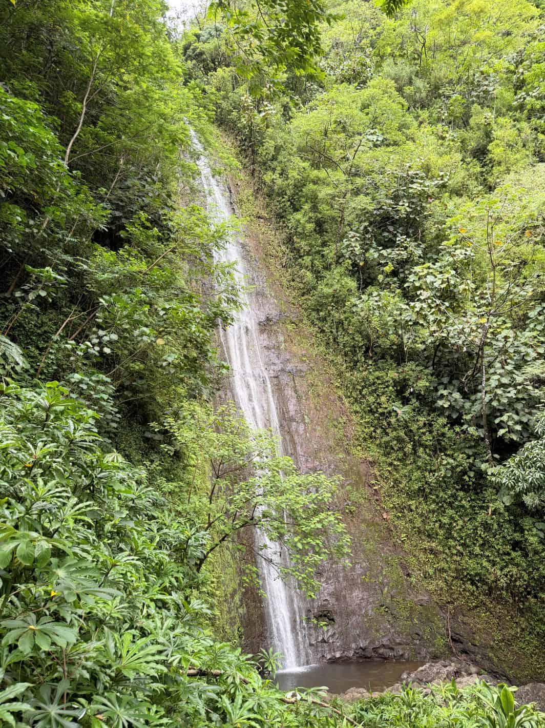 Manoa Falls