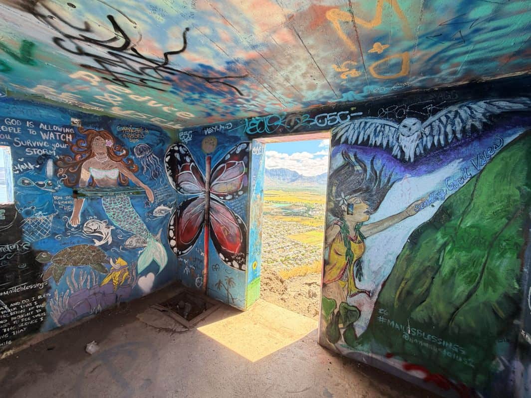 The artwork inside the pillbox