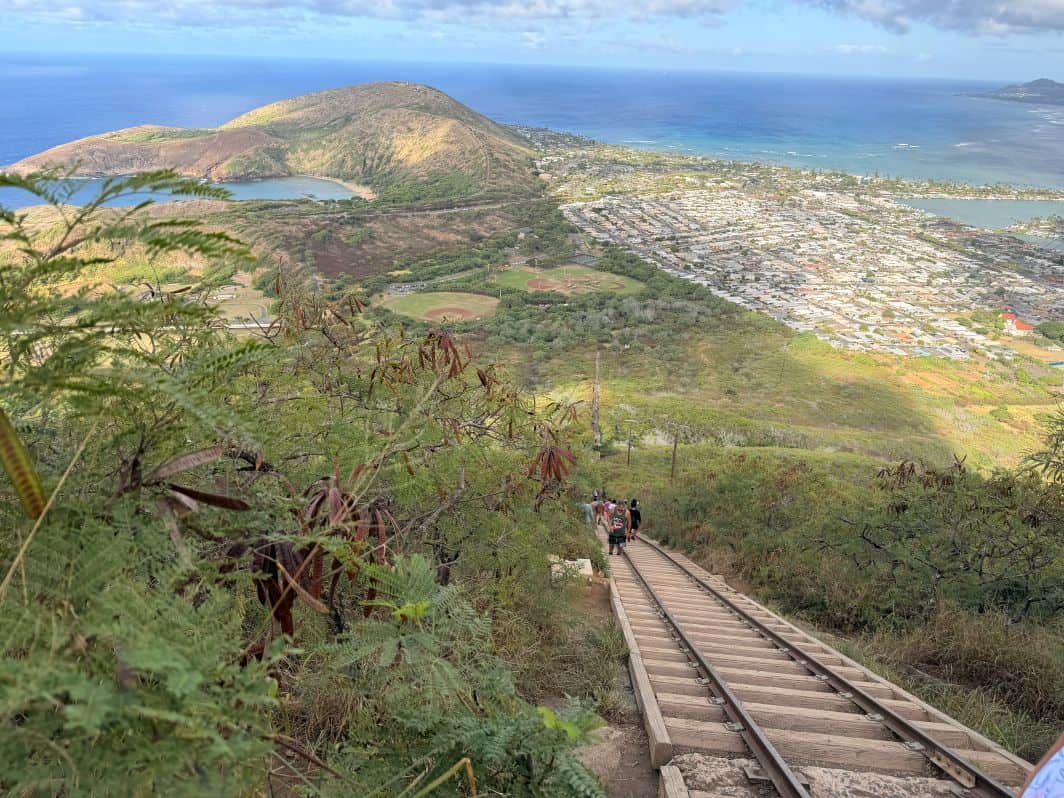 The view of the bay